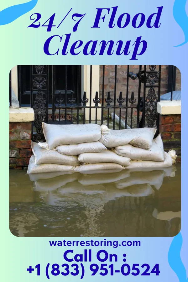 24/7 Flood Cleanup in Freeport, MN
