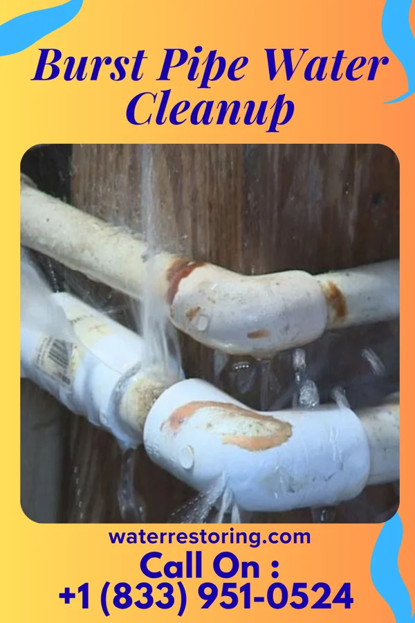 Burst Pipe Water Cleanup in Freeport, MN