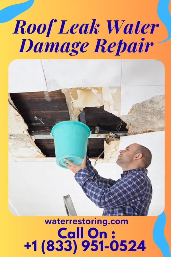 Roof Leak Water Damage Repair in Freeport, MN