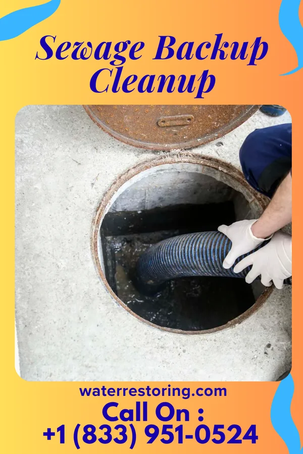 Sewage Backup Cleanup in Freeport, MN
